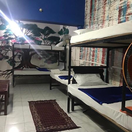 Brisbane Lodge & Hostel Коччи Экстерьер фото