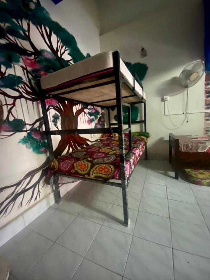 Brisbane Lodge & Hostel Коччи Экстерьер фото